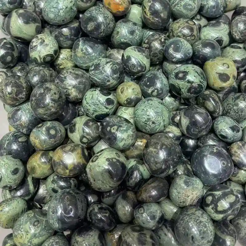 Kambaba Jasper tumbled stone bulk pieces with earthy green and black patterns reflecting Kambaba Jasper Meaning