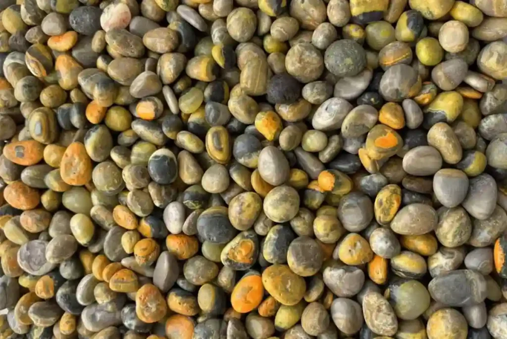 15-20mm Bumblebee Jasper tumbled stone showing bold yellow black colors and Bumblebee Jasper Meaning