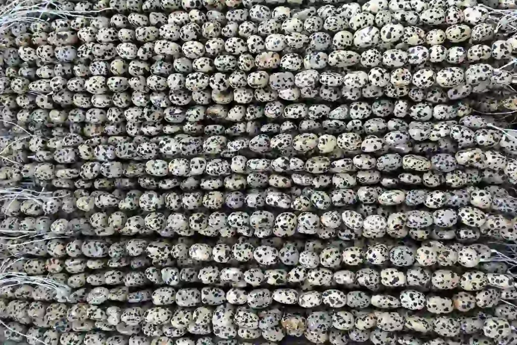 Dalmatian Jasper irregular crystal strand beads for wholesale jewelry making and Dalmatian Jasper Meaning collections
