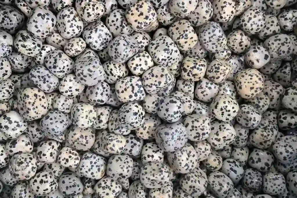 Dalmatian Jasper tumbled stone with smooth polish for Dalmatian Jasper Meaning crystal gifts and displays