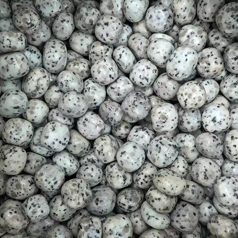 Natural Kiwi Jasper Tumbled Stones for Crystal Shops and Healing Collections