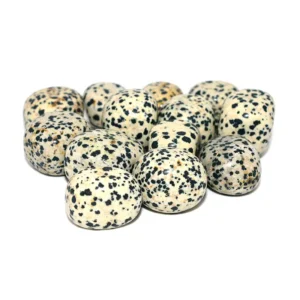 Dalmatian Jasper Tumbled Stone Wholesale – Natural Spotted Tumbled Stones for Bulk Orders
